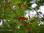 IMG_4085_18x12 copy